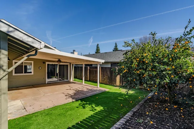 a view of a backyard with plants