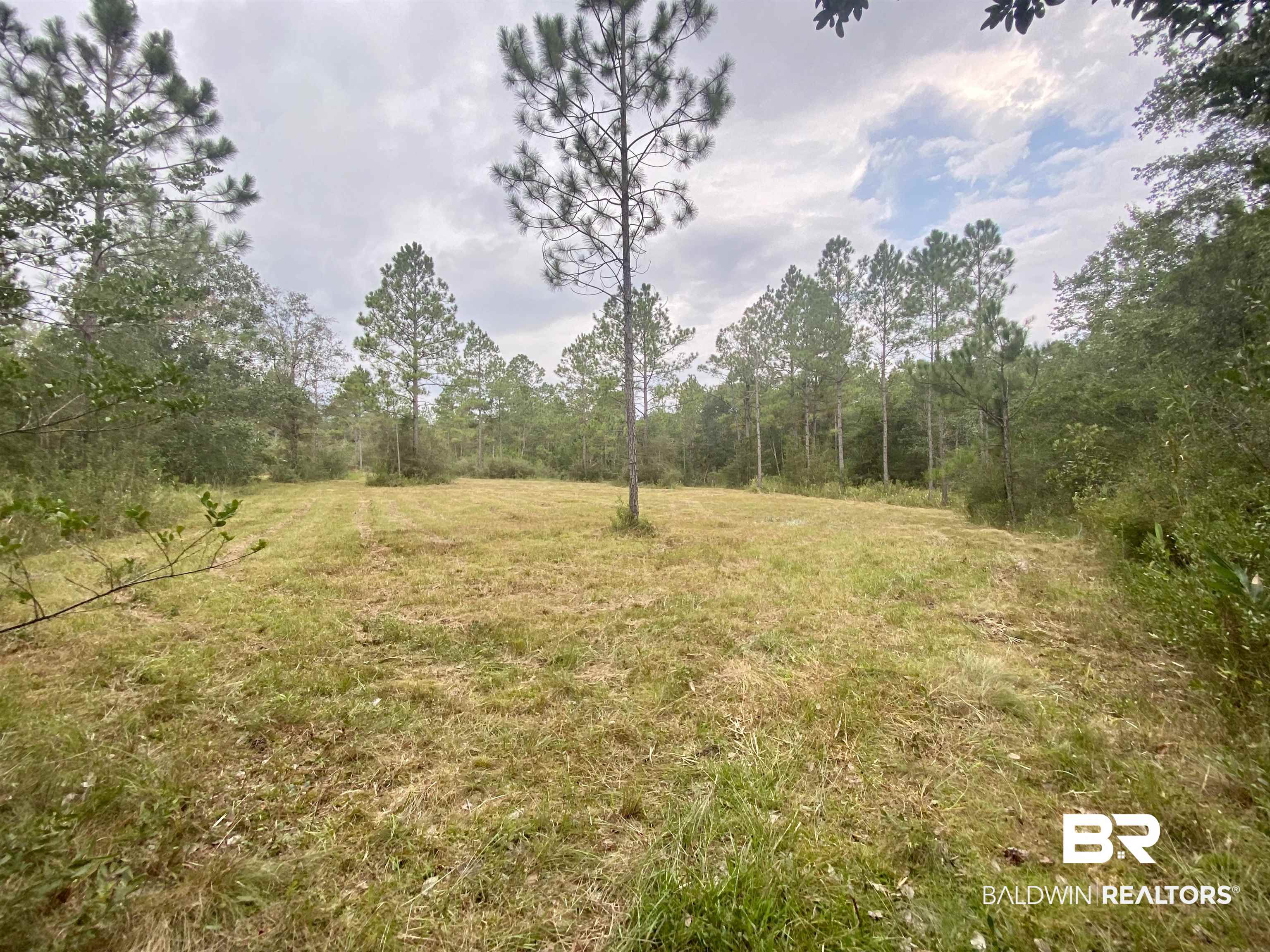 21305 River Road Robertsdale, AL 36567 - Photo 19 of 50 NW CLEARING