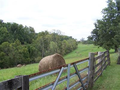 1548 Hickory Grove Road Lawrenceburg, KY 40342 - Photo 9 of 19 Photo 9