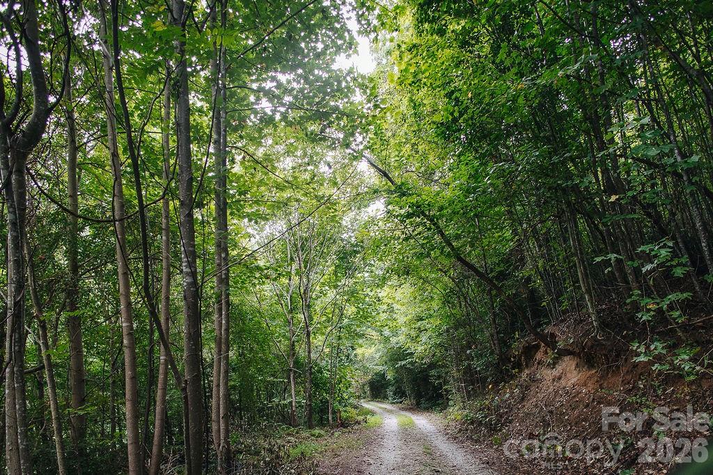 6830 Bat Cave Road Old Fort, NC 28762 - Photo 43 of 44 Gallery Image 43