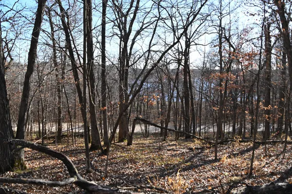 $8,500 | Tbd 392nd Street, Browerville, MN 56438