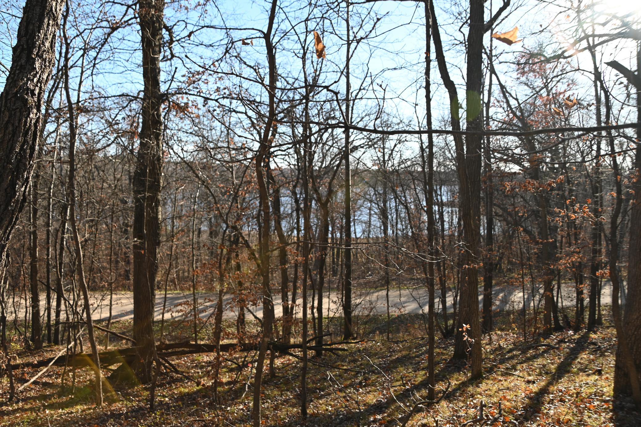 Tbd 392nd Street Browerville, MN 56438 - Photo 2 of 17