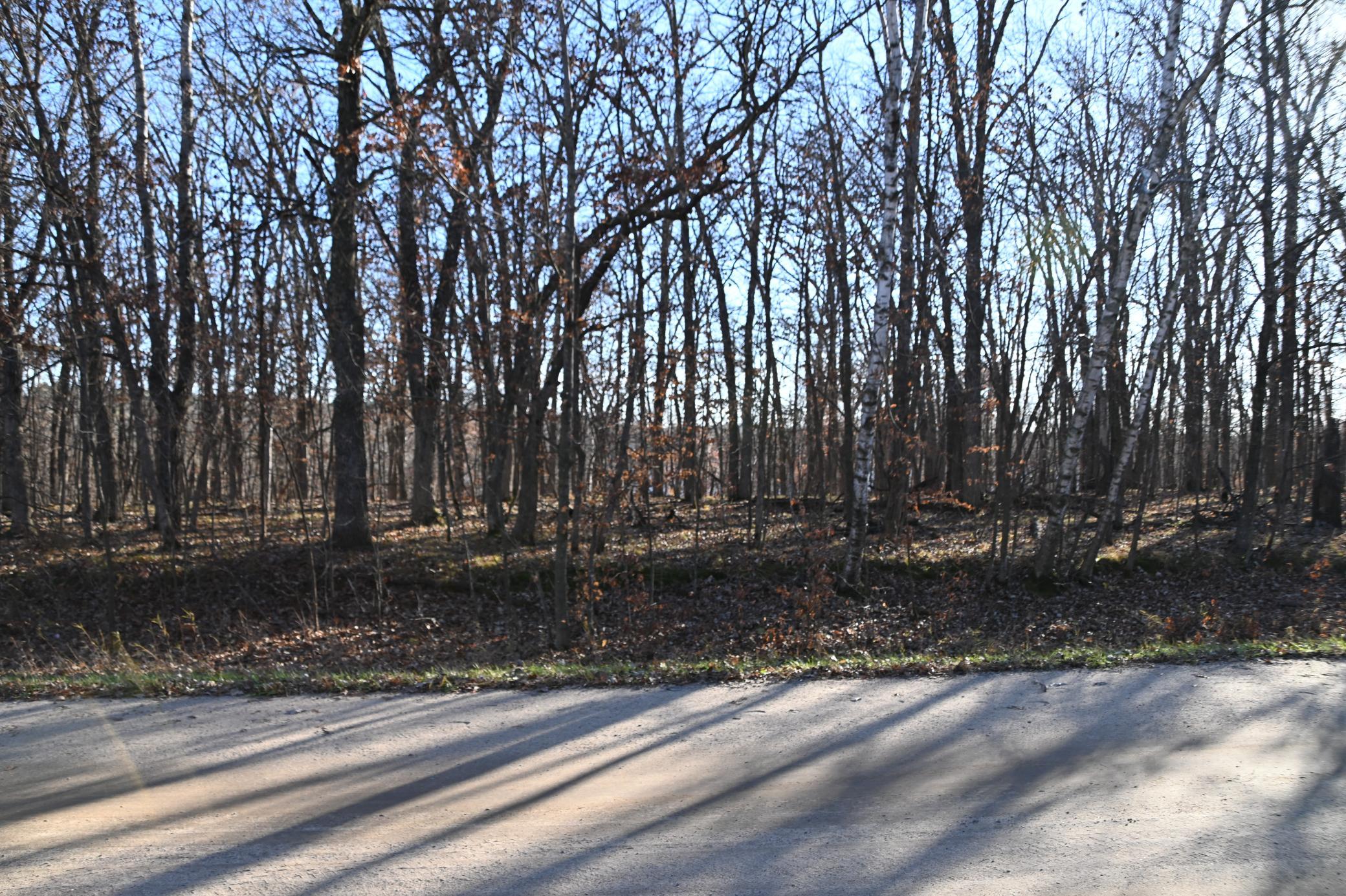 Tbd 392nd Street Browerville, MN 56438 - Photo 4 of 17