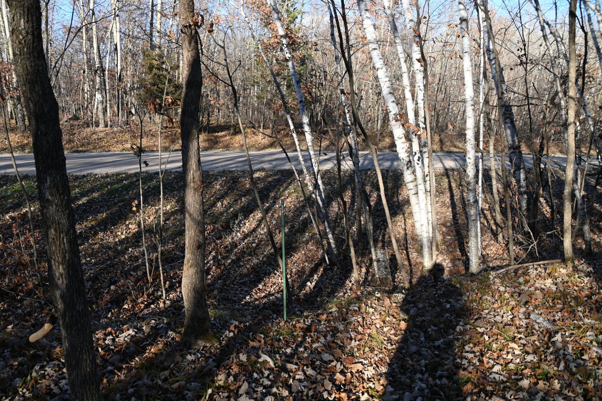 Tbd 392nd Street Browerville, MN 56438 - Photo 10 of 17