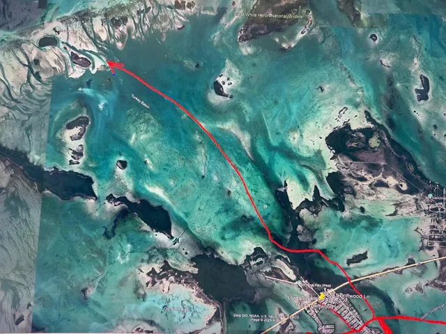 an aerial view of a yard