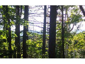 44 Bourchrard Road West Dover, VT 05356 - Photo 1 of 2 Gallery Image 1