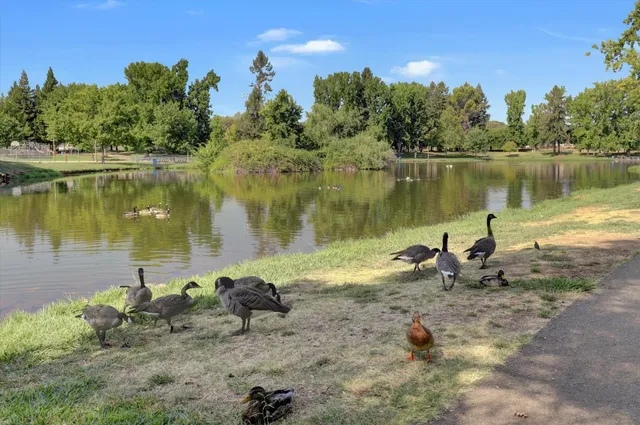 $1,680 | 3639 Galena Drive, Unit 1, Auburn, CA 95602