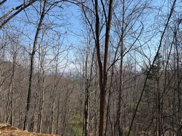 $27,000 | Lot 16 Laurel Mountain, Brasstown, NC 28902