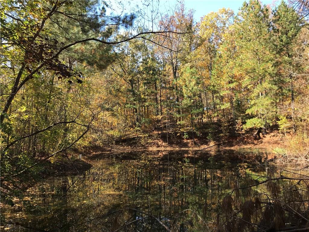 0 South Giles Road Douglasville, GA 30135 - Photo 1 of 1 Gallery Image 1