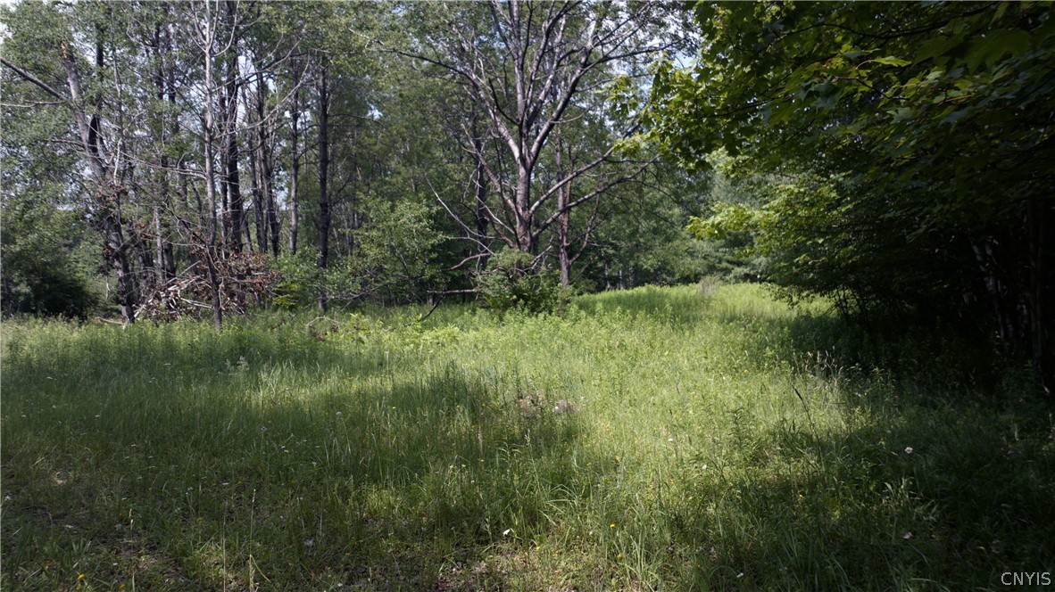 137 Windham Road Smithville, NY 13778 - Photo 13 of 20