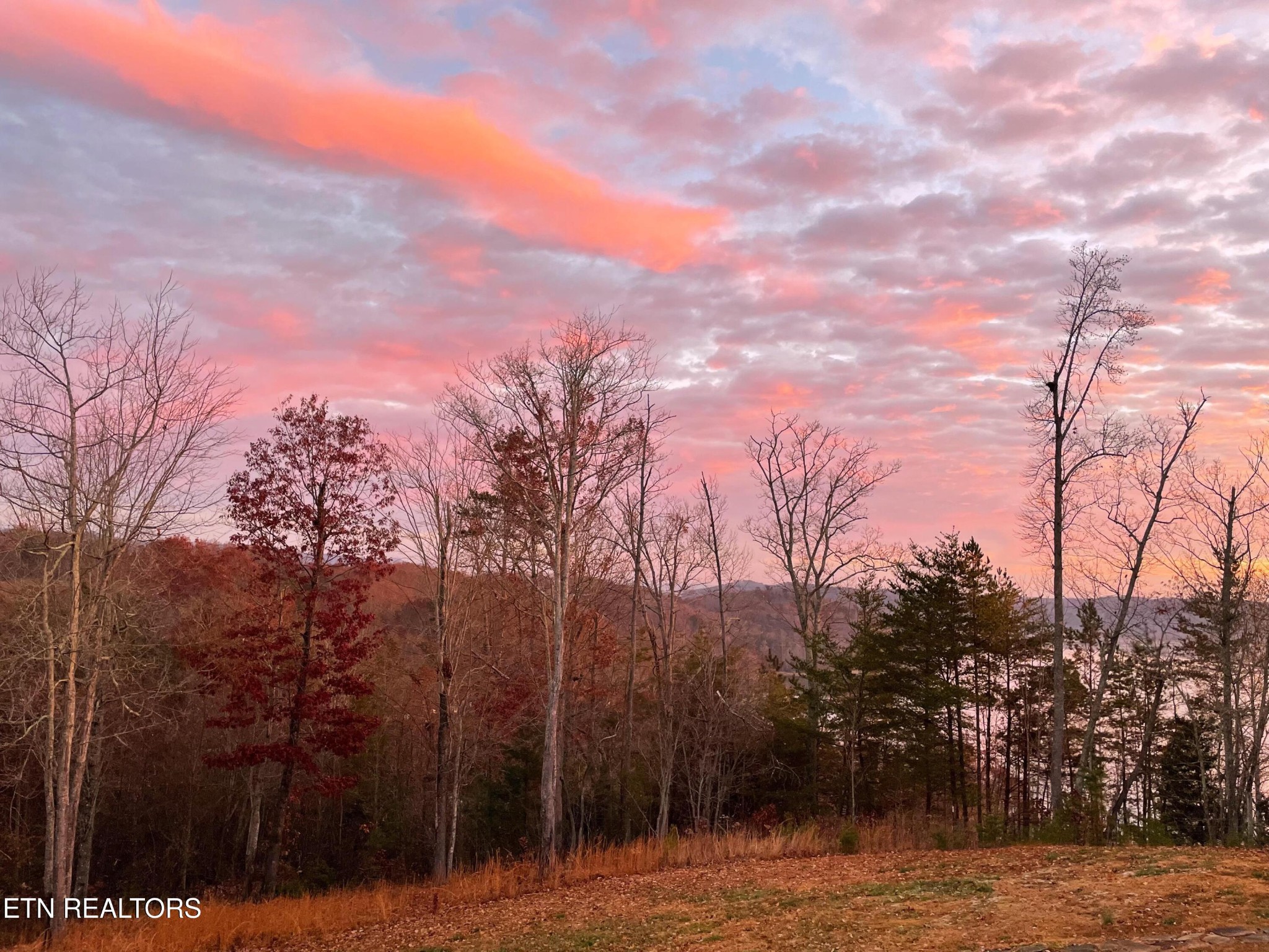 720 East Roddy Road Spring City, TN 37381 - Photo 48 of 58 a view of a backyard of the house