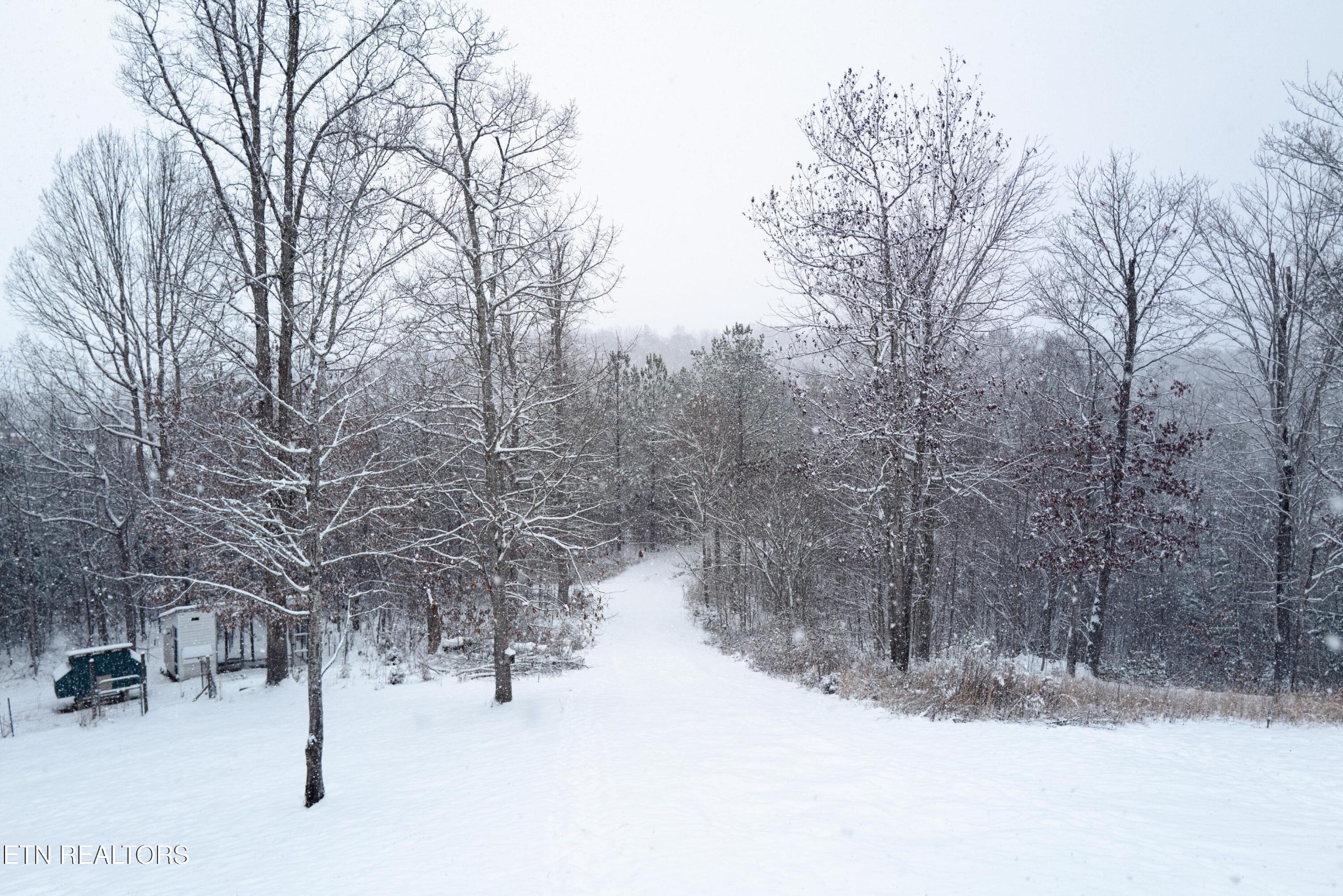720 East Roddy Road Spring City, TN 37381 - Photo 51 of 58 a view of covered with snow