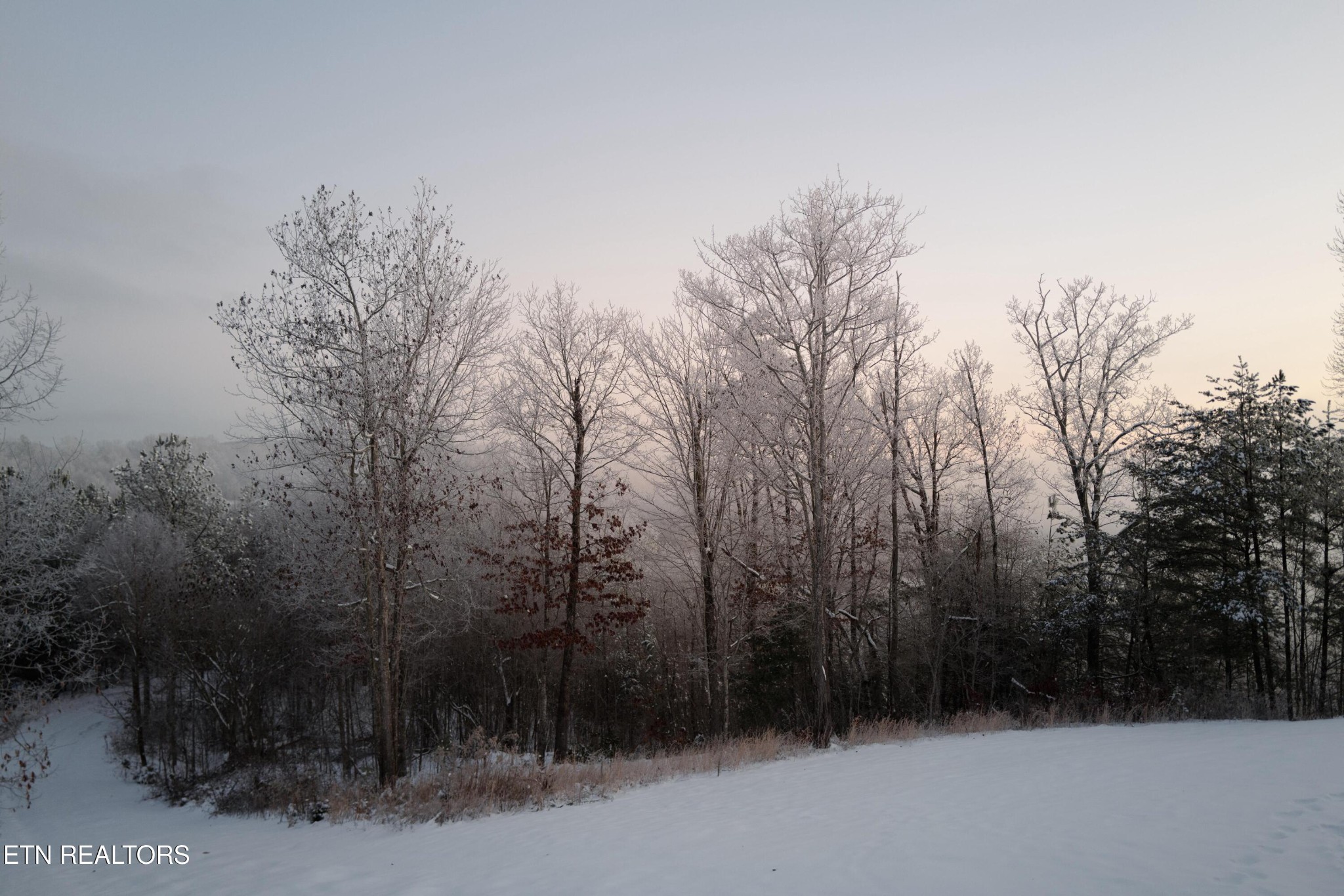 720 East Roddy Road Spring City, TN 37381 - Photo 52 of 58