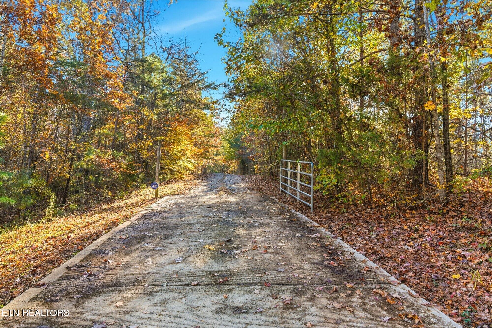 720 East Roddy Road Spring City, TN 37381 - Photo 58 of 58 a view of a yard with trees
