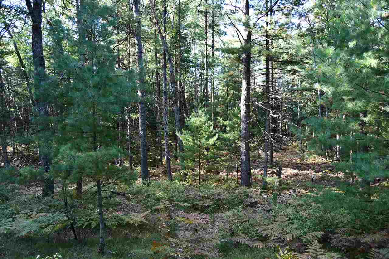 Lot 12-blk Van Buren Road St. Helen, MI 48656 - Photo 2 of 4 1880110-1.JPG