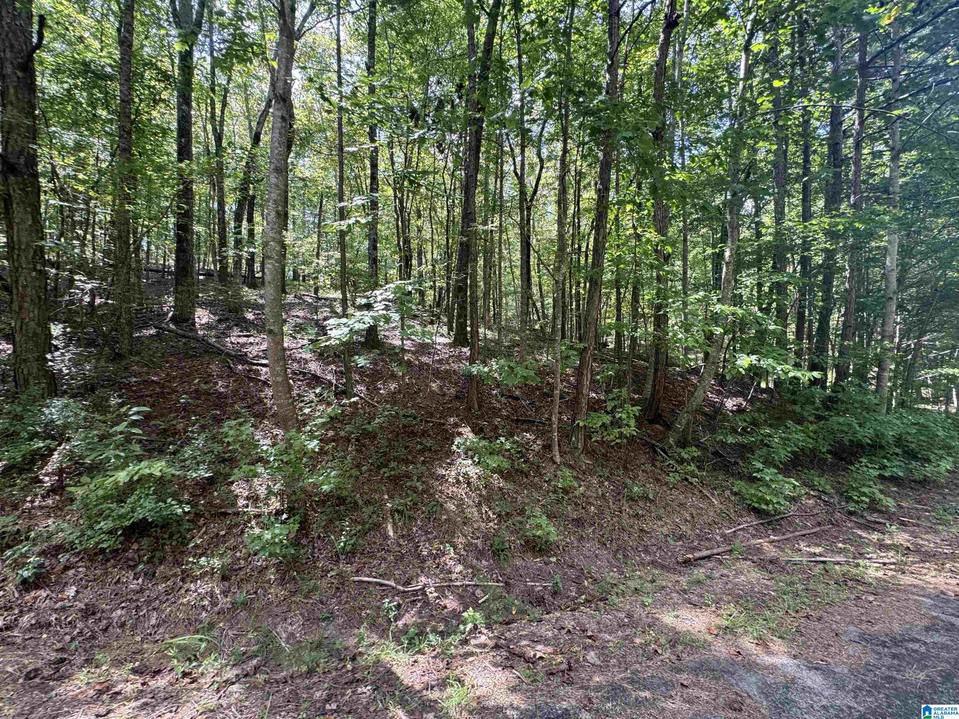 85 Mohawk Court, Unit 22 Ohatchee, AL 36271 - Photo 34 of 37