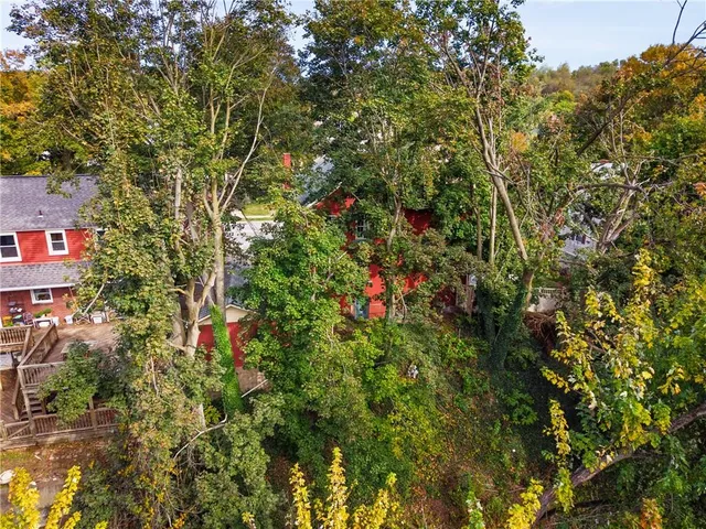a backyard of a house with lots of green space and trees