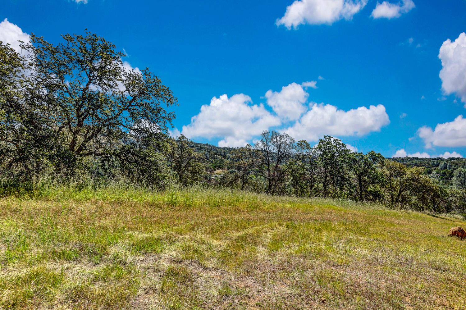 29 Township Road Browns Valley, CA 95918 - Photo 3 of 62 Gallery Image 3