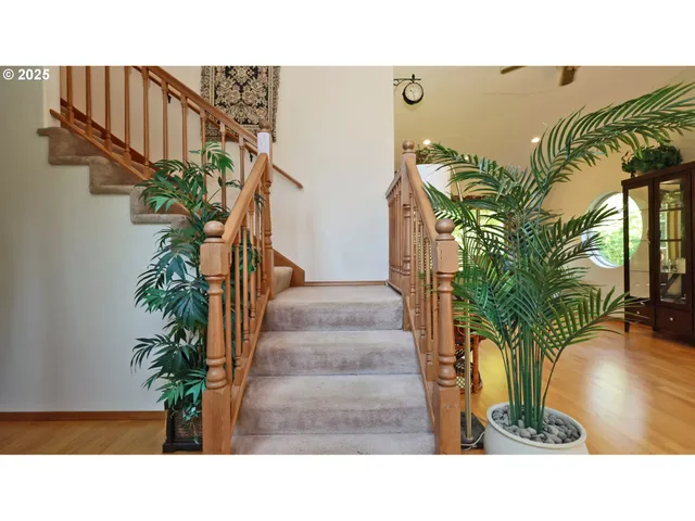 a picture of a potted plant in front of a building