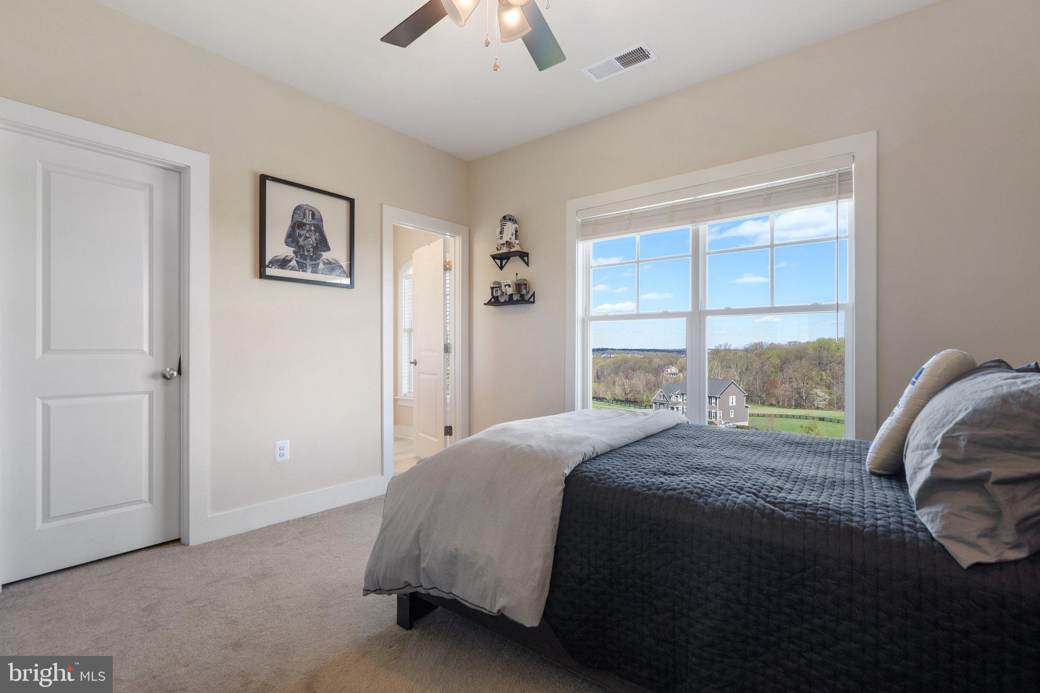 18639 Wild Raspberry Drive Purcellville, VA 20132 - Photo 49 of 94 Gallery Image 49