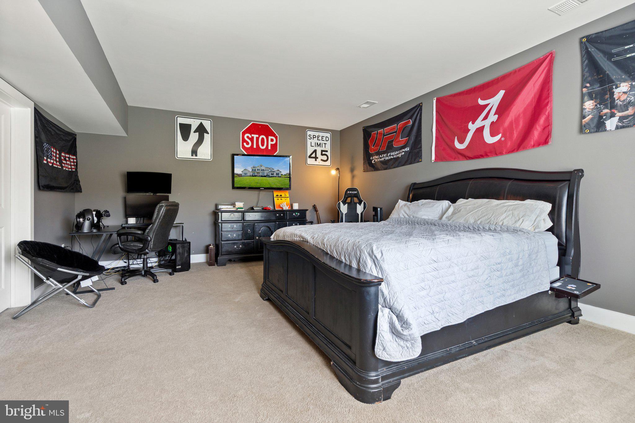 18639 Wild Raspberry Drive Purcellville, VA 20132 - Photo 67 of 94 Bedroom on Lower Level. Ideal in-law suite