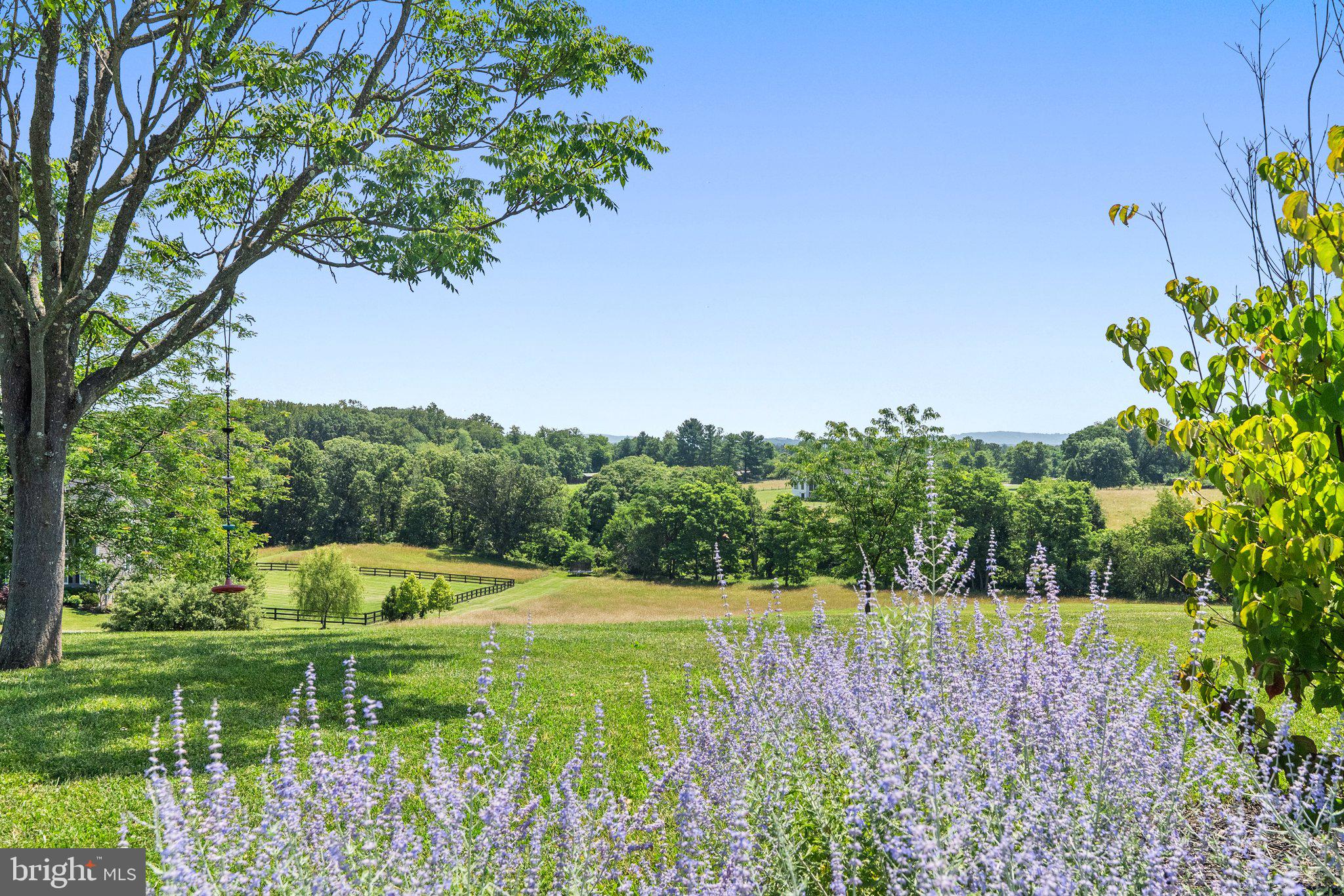 18639 Wild Raspberry Drive Purcellville, VA 20132 - Photo 81 of 94 Gallery Image 81