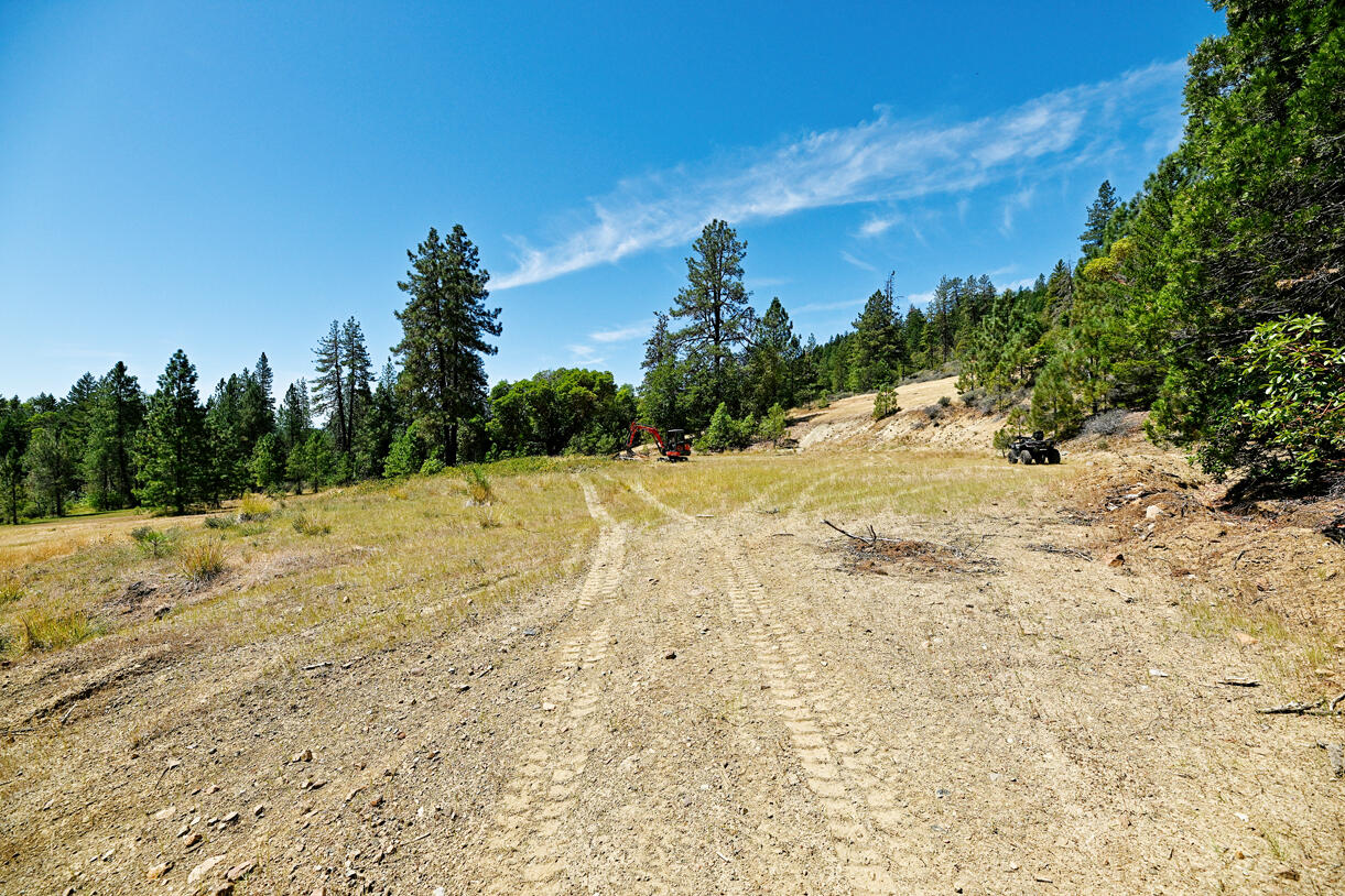 360 Sparky Way Cave Junction, OR 97523 - Photo 9 of 20 DSC_9693