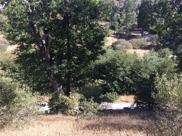 $12,000 | 29776 Hook Creek Road, Cedar Glen, CA 92321