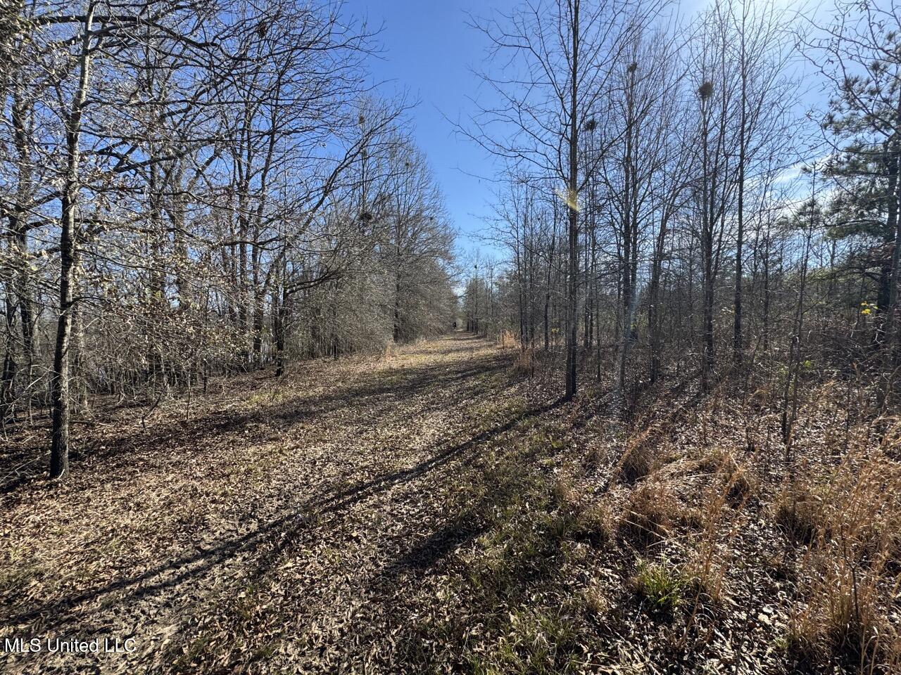 165 Mitchell Road Jonesville, LA 71343 - Photo 33 of 56 IMG_1755 Large