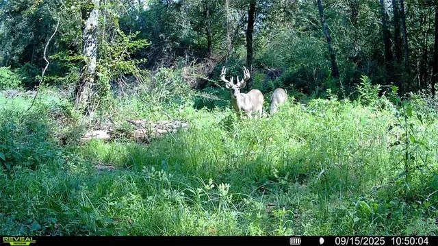 $282,000 | 0 1058th Highway, Roseland, LA 70456