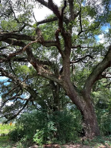 $282,000 | 0 1058th Highway, Roseland, LA 70456