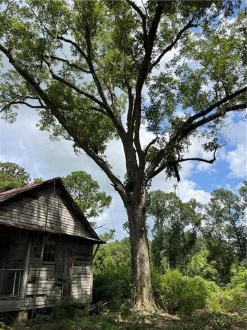 $282,000 | 0 1058th Highway, Roseland, LA 70456