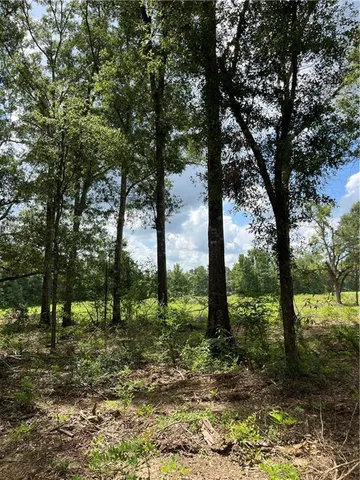 $282,000 | 0 1058th Highway, Roseland, LA 70456