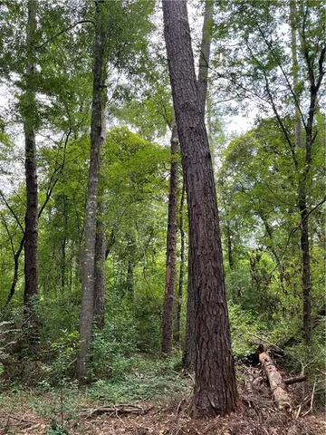 $282,000 | 0 1058th Highway, Roseland, LA 70456