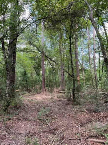 $282,000 | 0 1058th Highway, Roseland, LA 70456