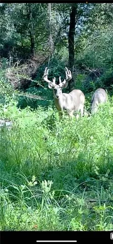 $282,000 | 0 1058th Highway, Roseland, LA 70456