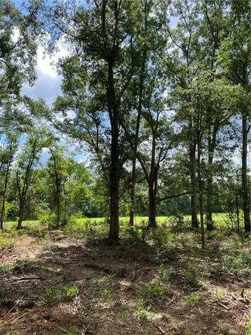 $282,000 | 0 1058th Highway, Roseland, LA 70456