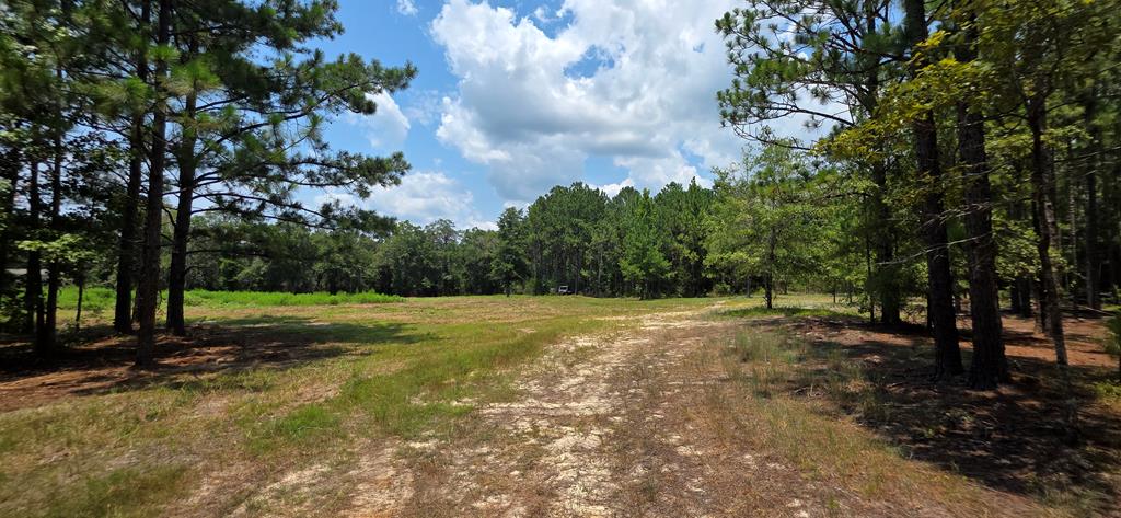 3.14-acres Corbin Road Newton, AL 36352 - Photo 23 of 31 Gallery Image 23