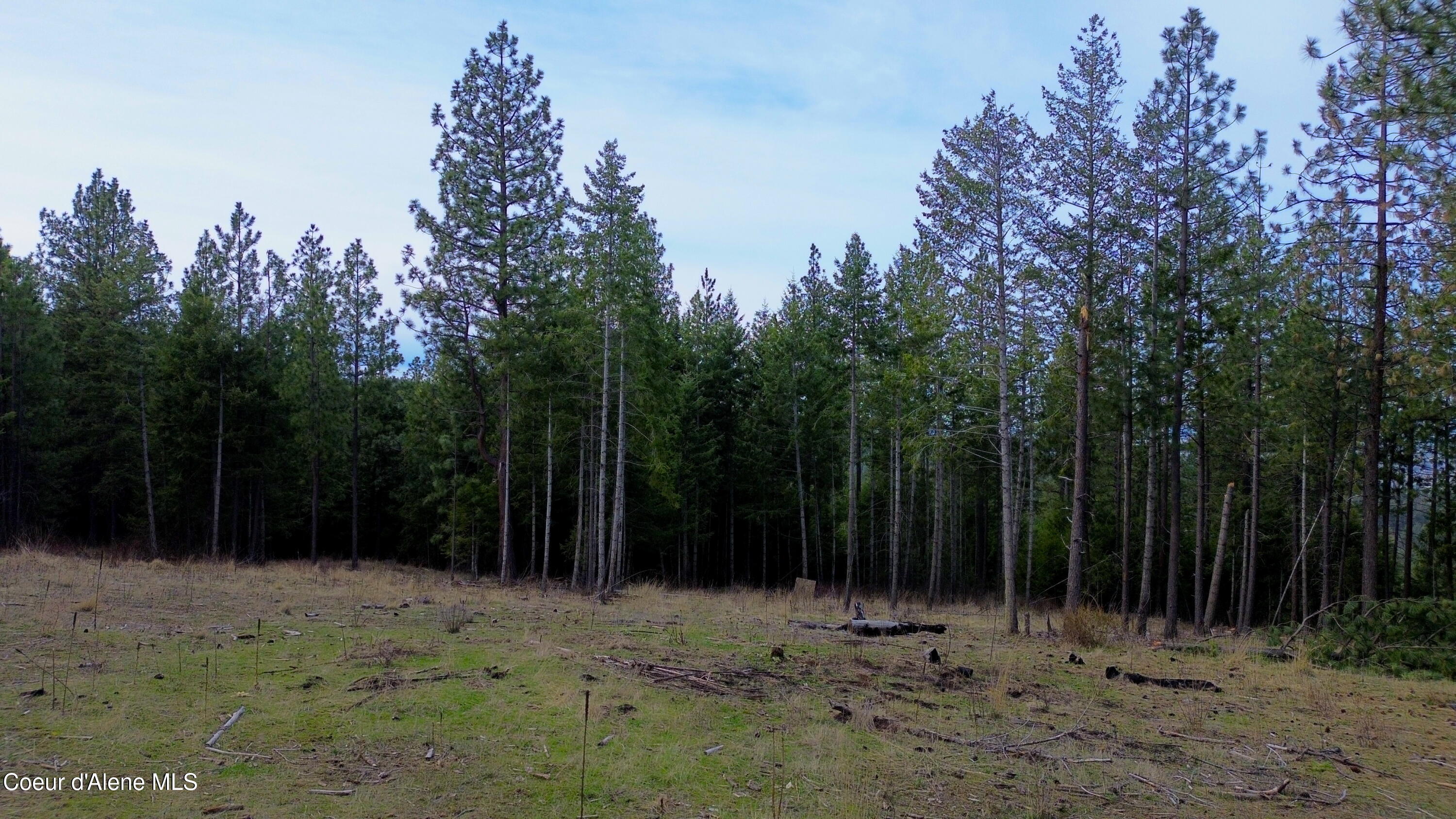 13476 West Margishward Road Post Falls, ID 83854 - Photo 44 of 60 44