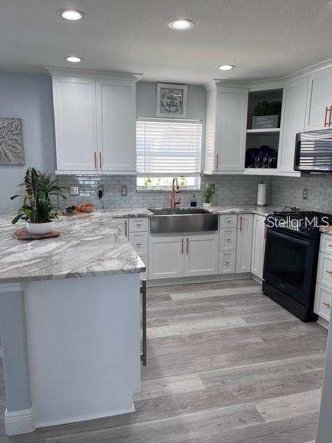 5519 Turtle Crossing Loop Tampa, FL 33625 - Photo 3 of 23 a kitchen with stainless steel appliances granite countertop a stove a sink and a microwave