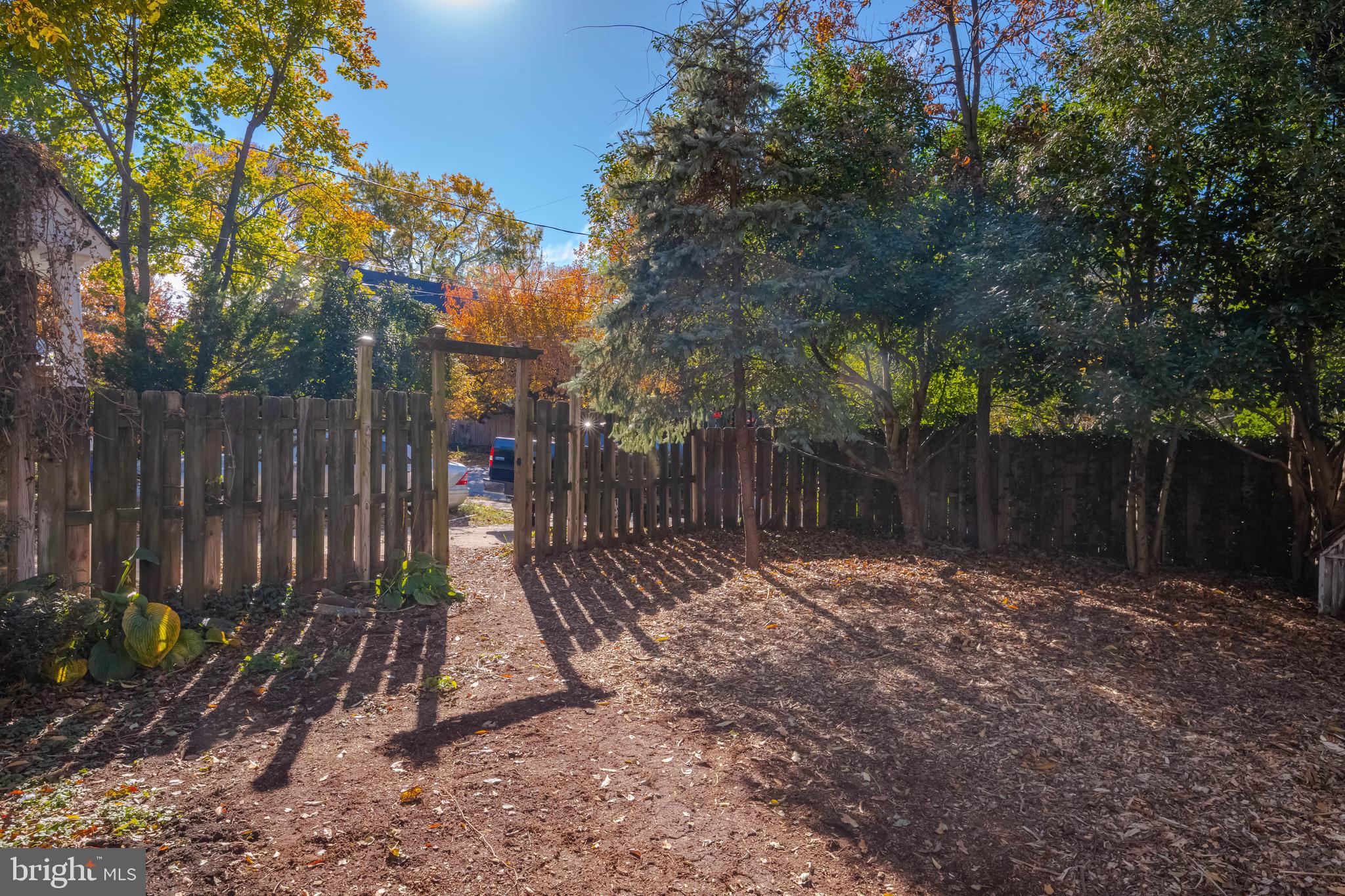2505 Manhattan Avenue Baltimore, MD 21209 - Photo 44 of 60 Rear Yard