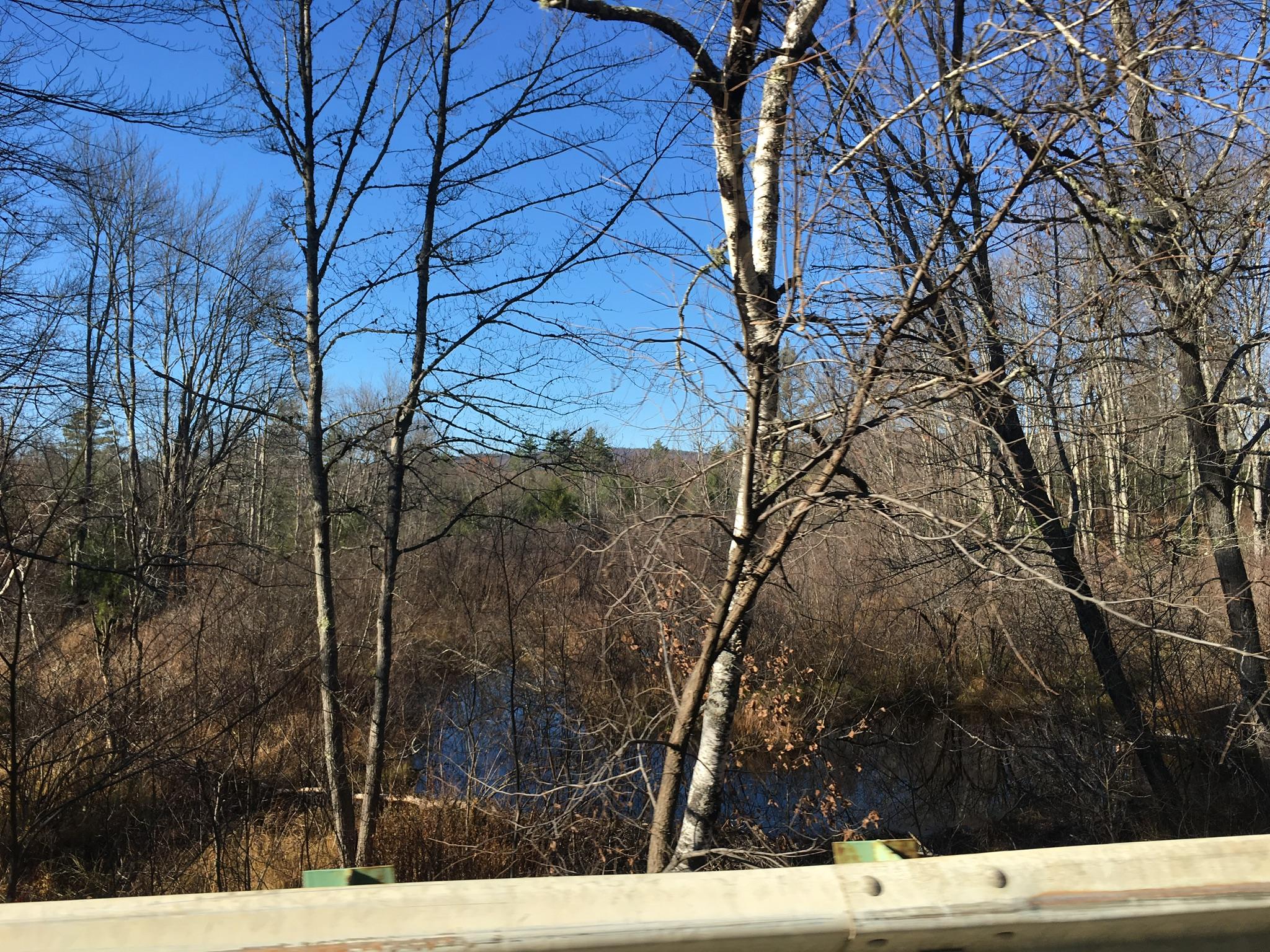 11-acres Bridgton Road East Baldwin, ME 04024 - Photo 2 of 6 424609D8-1347-4D08-A9BC-CE8792300D2F