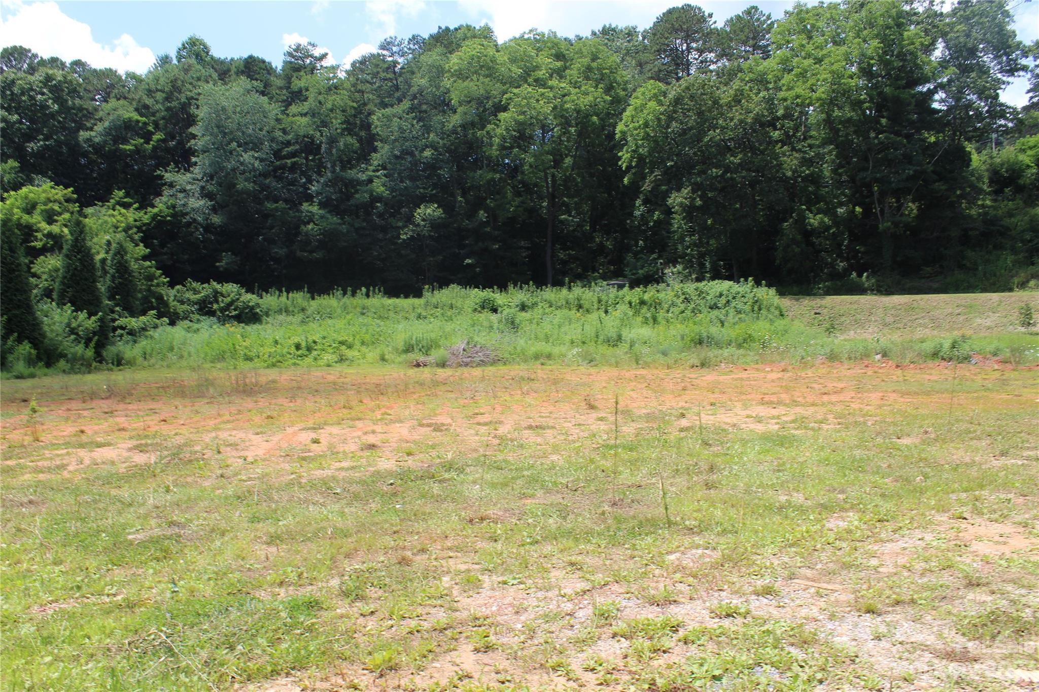 Tbd Beaverdam Road Canton, NC 28716 - Photo 1 of 5 a view of backyard with green space