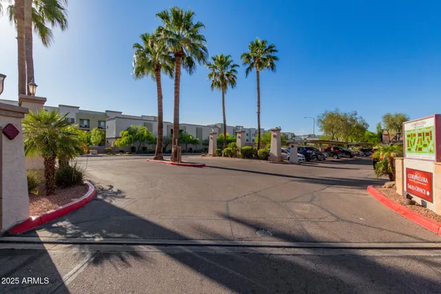 a view of a street with palm trees