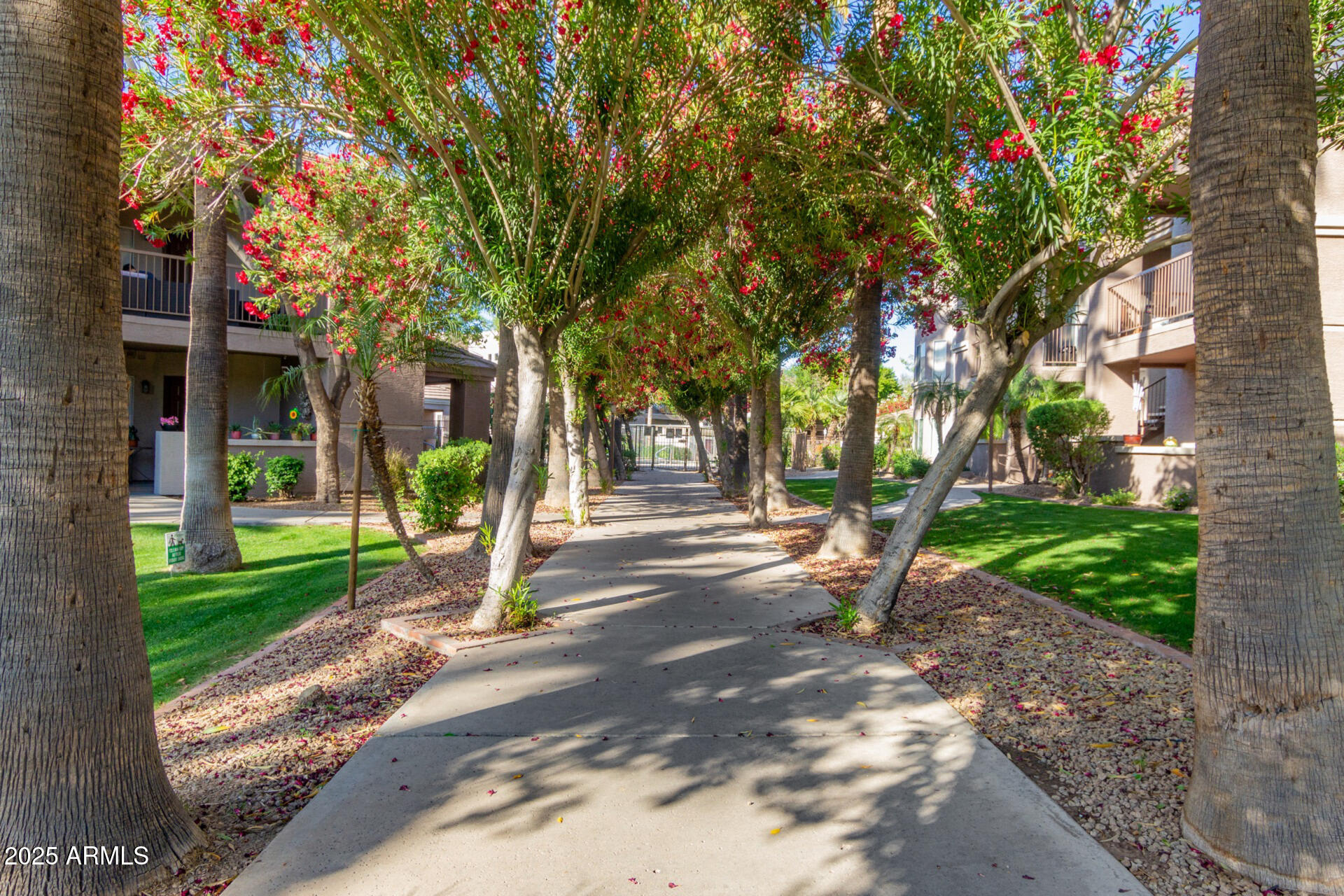 17017 North 12th Street, Unit 1123 Phoenix, AZ 85022 - Photo 36 of 48 a view of a park with tree s