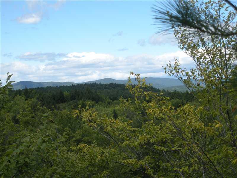 Lot 21 Hussey Road Parsonsfield, ME 04047 - Photo 8 of 15 Land. View north at 15 ft above grade