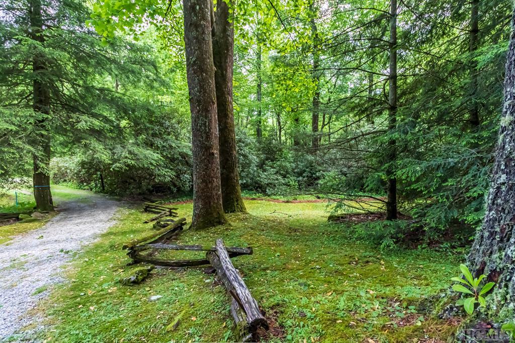 250 Webb Branch Road Highlands, NC 28741 - Photo 26 of 30 Gallery Image 26