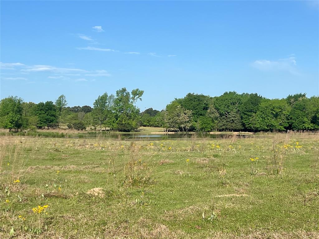 0 Fm 1402 Mount Mount Pleasant, TX 75455 - Photo 1 of 3 View of landscape featuring a water view