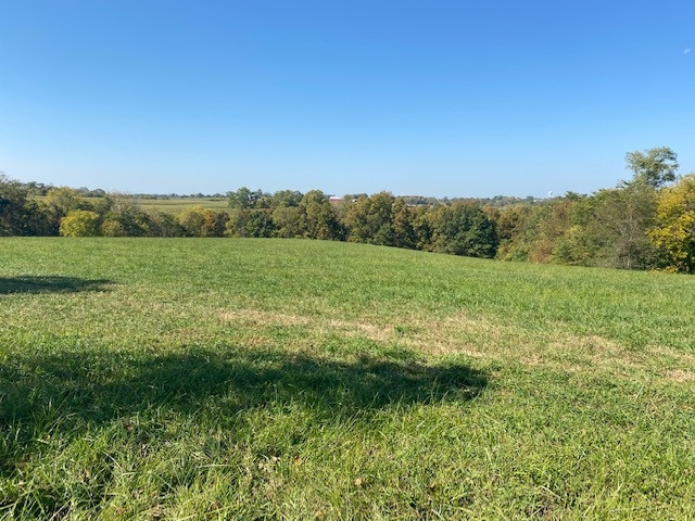 3851 Asbury Road Augusta, KY 41002 - Photo 25 of 42 Gallery Image 25