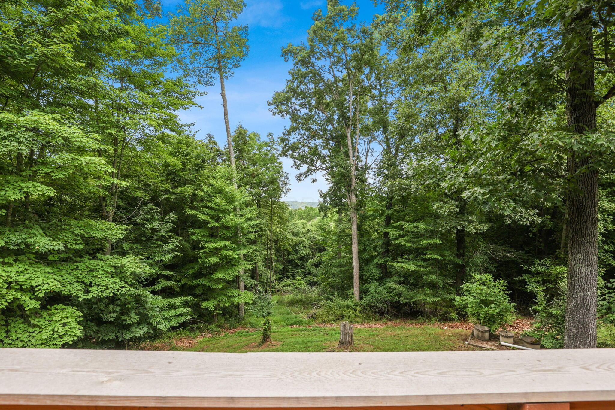 29030 Rock Stull Road Sugar Grove, OH 43155 - Photo 76 of 104 86-web-or-mls-0N4A6446